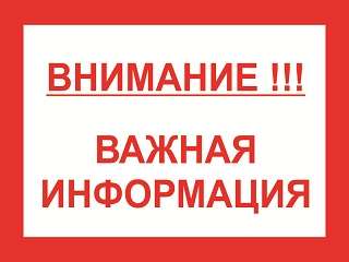 Африканская чума свиней: памятка населению.